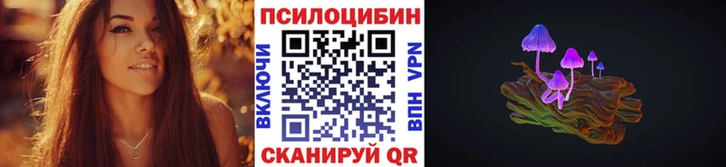Псилоцибиновые грибы Psilocybe  закладки  Черняховск 