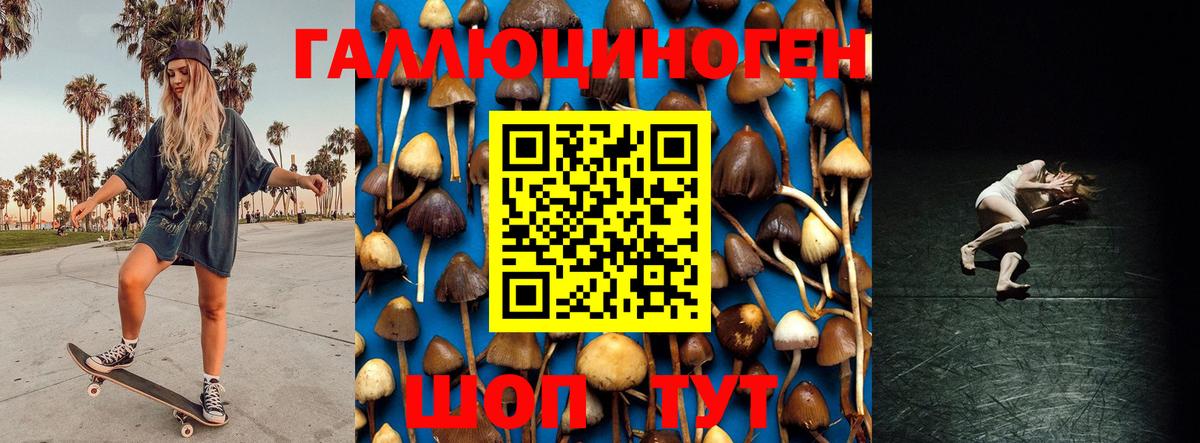 Галлюциногенные грибы Cubensis  Вход с VPN  Черняховск  Псилоцибиновые грибы Cubensis 