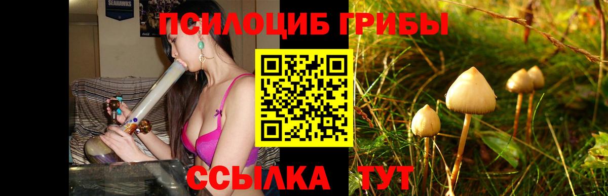 Галлюциногенные грибы GOLDEN TEACHER Черняховск